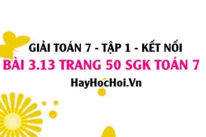 Giải bài 3.13 trang 50 Toán 7 Tập 1 SGK Kết nối tri thức